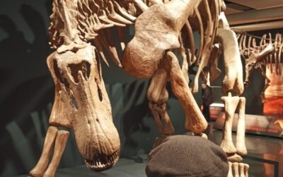 Cultura y Ocio en enero