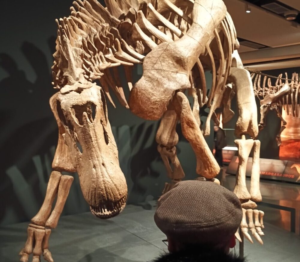 Cultura y Ocio en enero